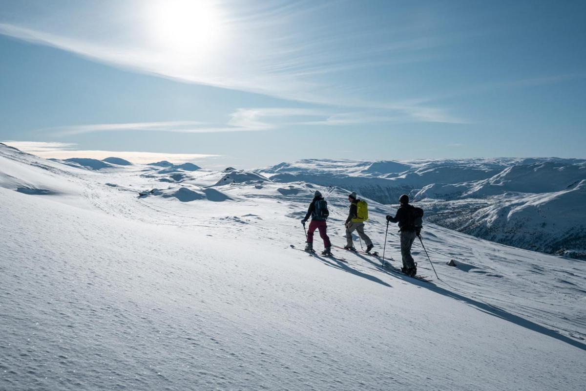 Hotel Harahorn Fjellgard Grøndalen Zewnętrze zdjęcie