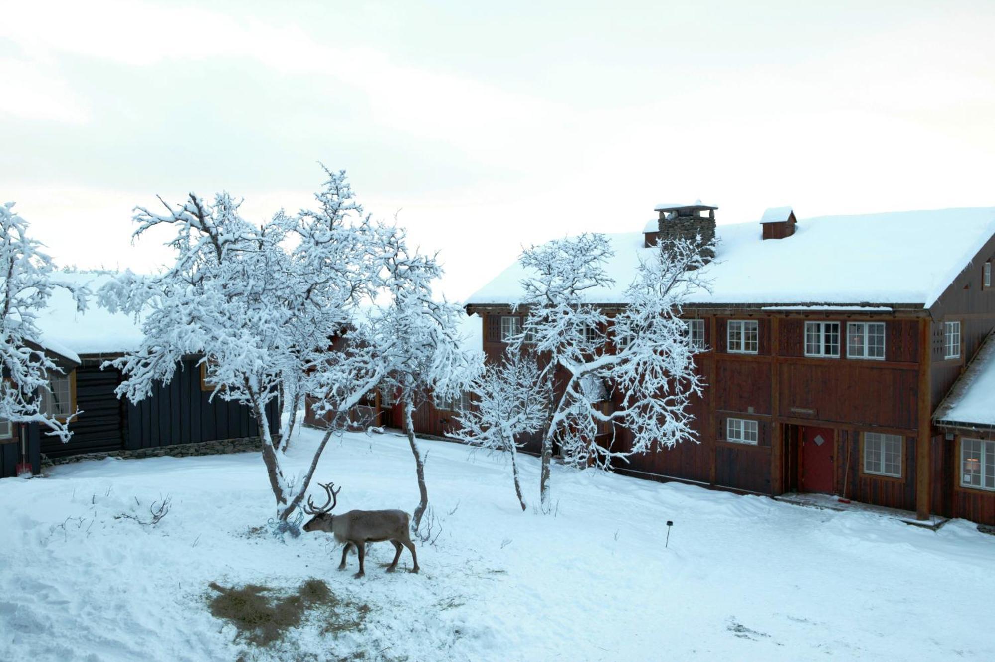 Hotel Harahorn Fjellgard Grøndalen Zewnętrze zdjęcie