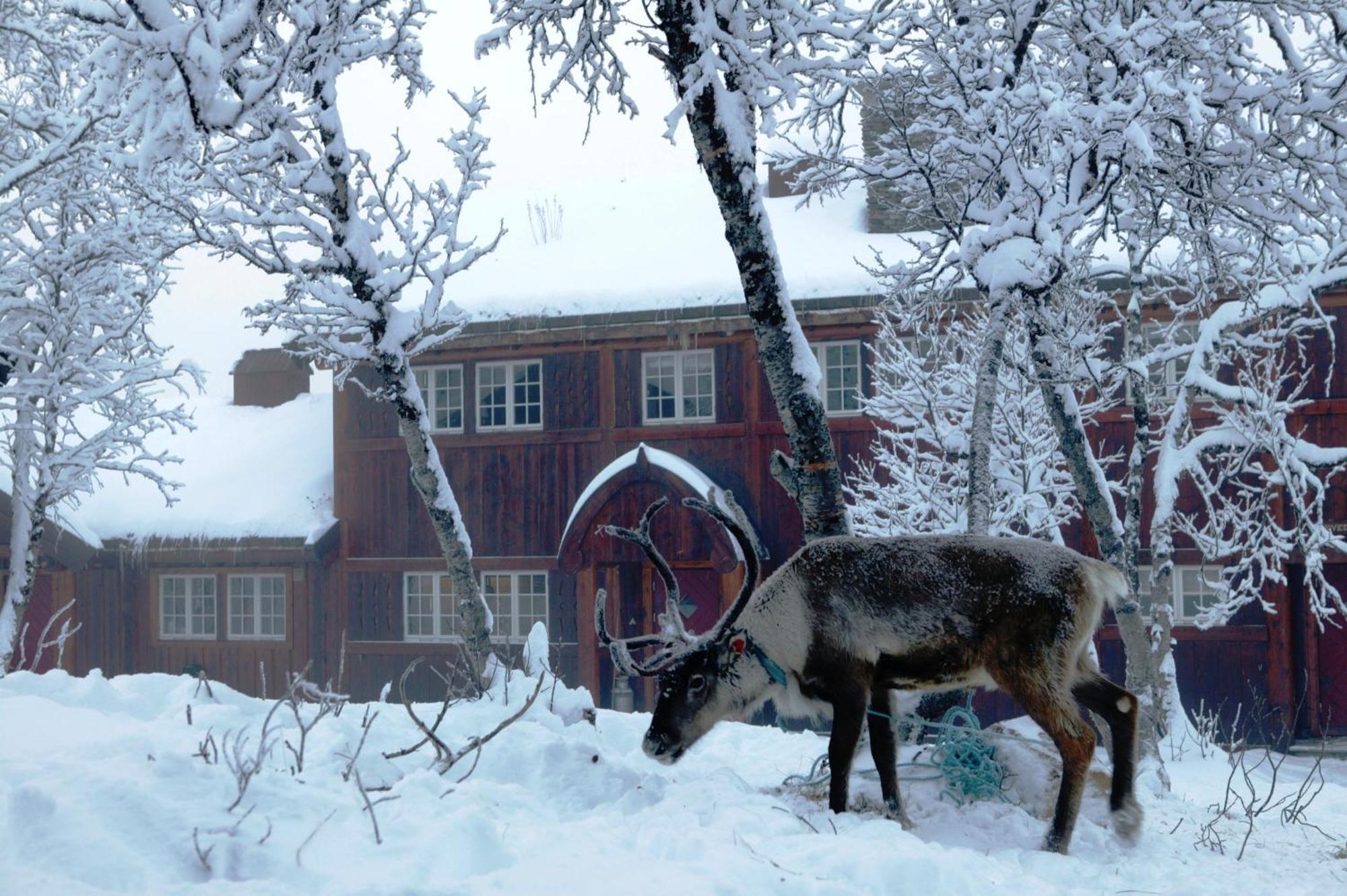 Hotel Harahorn Fjellgard Grøndalen Zewnętrze zdjęcie