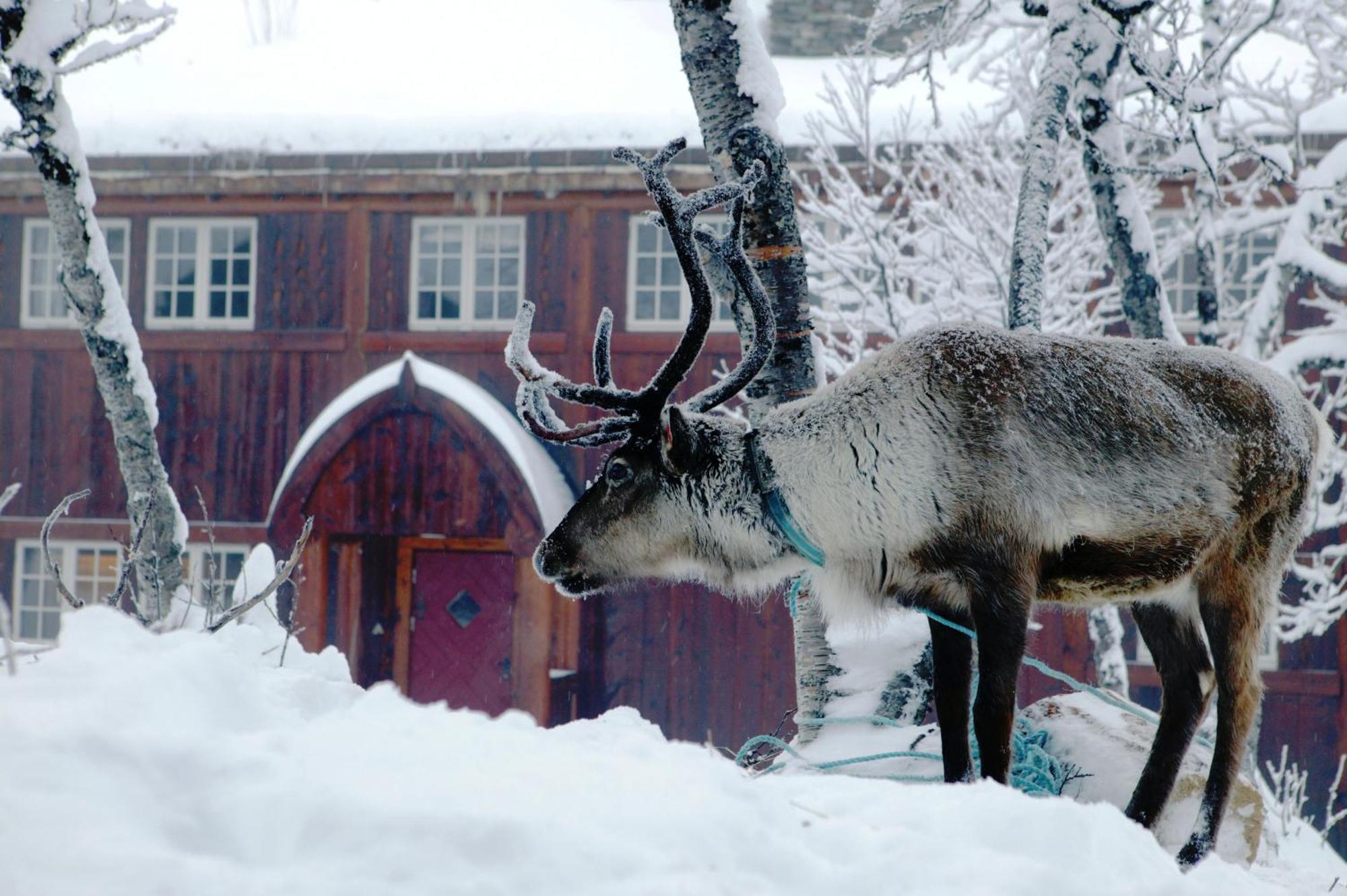 Hotel Harahorn Fjellgard Grøndalen Zewnętrze zdjęcie