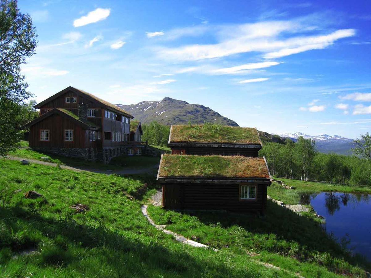 Hotel Harahorn Fjellgard Grøndalen Zewnętrze zdjęcie